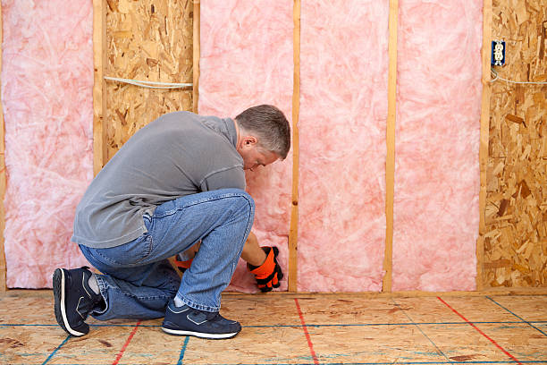 Best Types of Insulation in Tornado, WV